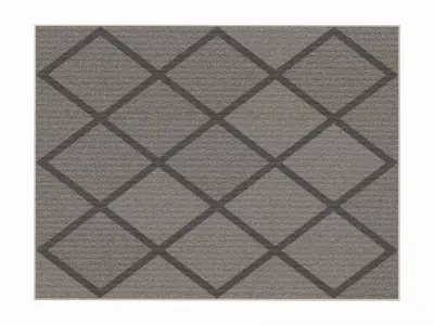 Indoor rectangle soft rug carpet grey 3D model