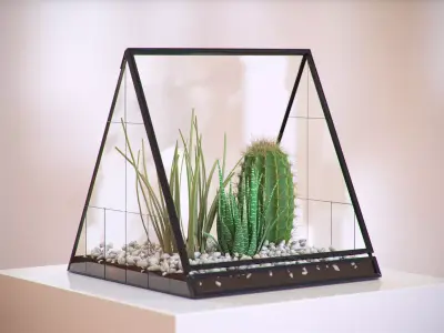 Cactus in a glass vase HG2 3D model