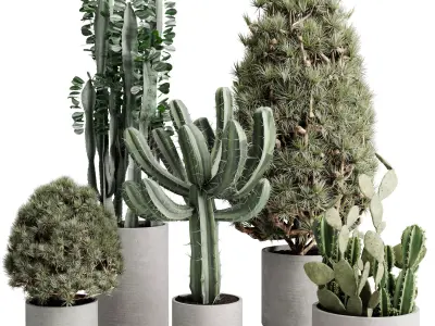 Topiary Ball Bush and cuctus in a concrete Outdoor Plants 245 3D model