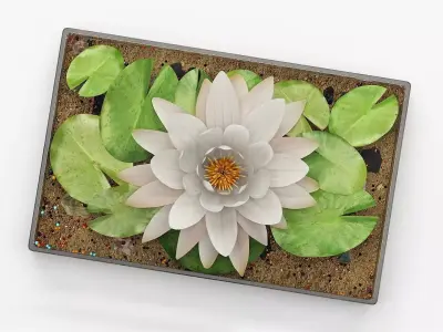 Decorative Set of Water Lily 3D model