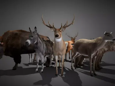 50 Realistic Animals FULL PACK Low-poly 3D model