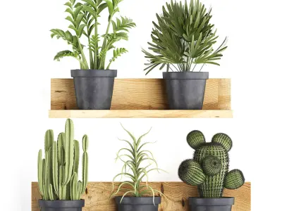 Collection of Exotic Plants 410 3D model