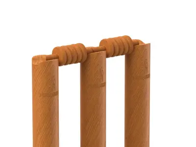 Cricket Wicket 3D model