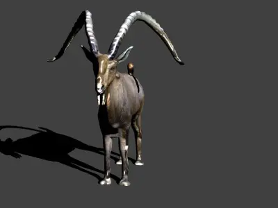 nubian ibex 3D model
