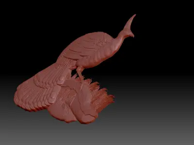 Peacock 3D print model
