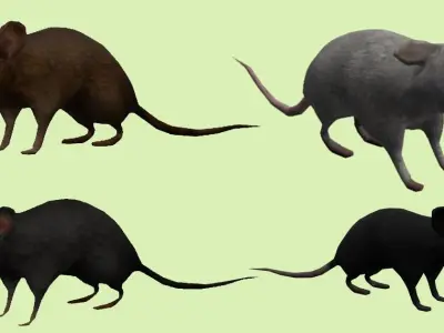 Mouse lowpoly  Low-poly 3D model