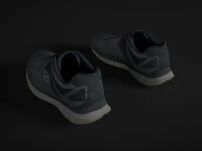 Pair of Sneakers Low-poly 3D model get