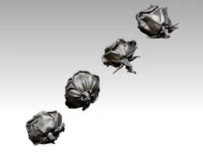 Flower Rose Set of 4 pcs 3D print model