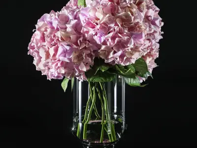 Hydrangea set 002 3D model