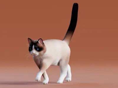 Low poly - Stylized cats - Snowshoe Cat Low-poly 3D model