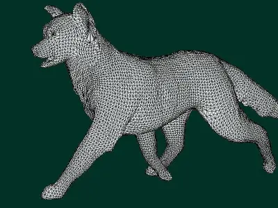 Papillon Dog 3D model