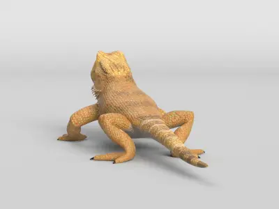 Bearded Dragon Lizard Low-poly 3D model