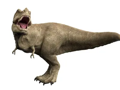 Tyrannosaurus rex 3D model 3D model