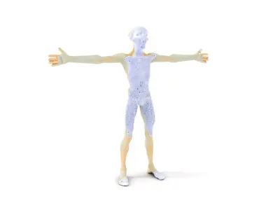 Alien Figure Anatomy model pack Low-poly 3D model
