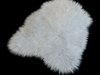Fur with long pile 3D model