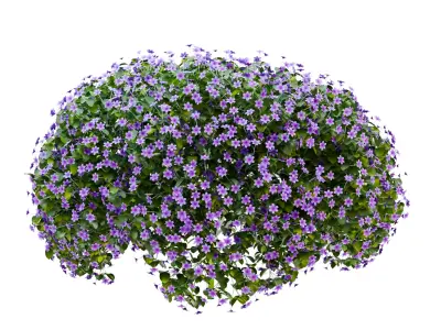 PBR Petunia Flower for Outdoor Environments Low-poly 3D model
