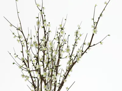 Branches in a vase 3D model