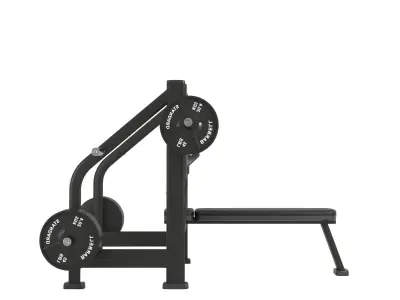 Bench Press 3D model