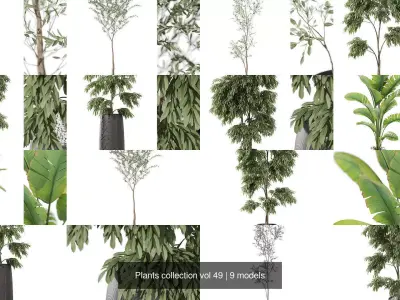 Plants collection vol 49