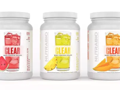 Protein Powder 3D model