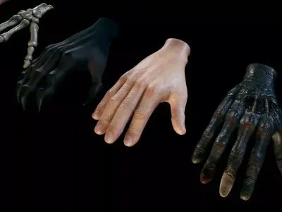 Virtual Reality Hands - Rigged and Animated Low-poly 3D model