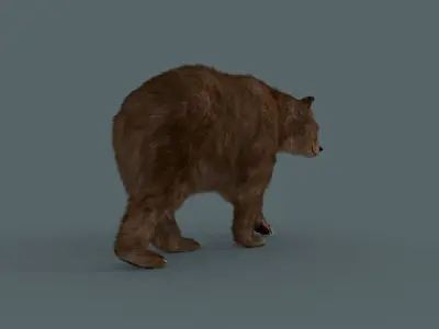 Best Bear - 3D animated Brown Bear 3D model