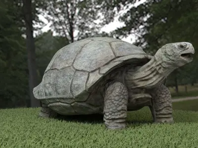 Galapagos Tortoise  Low-poly 3D model