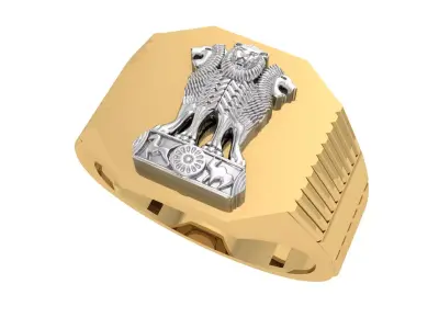 Indian Ashoka Ring 3D print model