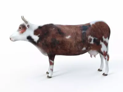 Cow kine Low-poly 3D model