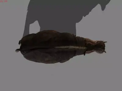 Hippopotamus Animal Low-poly 3D model