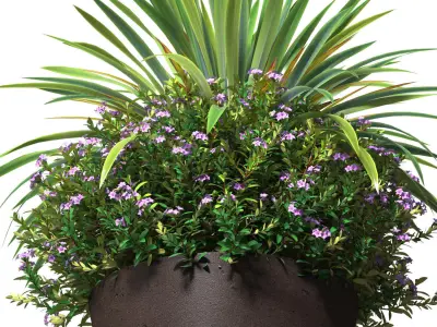 Container garden Flower composition in a modern pot Front Patio  3D model