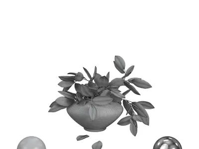 Plant in black vase 3D model