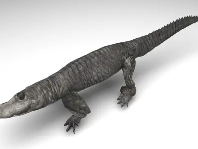 Crocodile 3D model