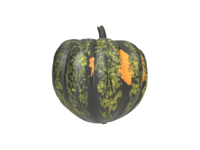 Photorealistic Acorn Squash 3D Scan 1 3D model