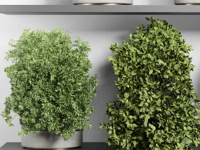 indoor outdoor plant vase concrete plant pot on shelves 3D model