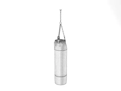 DS 2878 60 Punching Bag 3D model