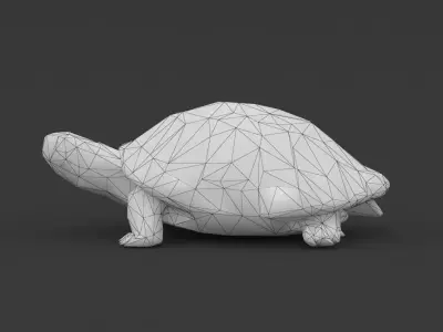 Low Poly Turtle Tortoise Low-poly 3D model