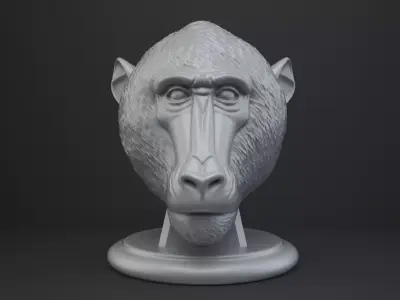 Baboon Bust - Animal Figurine 3D print model