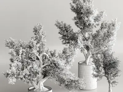 Bonsai collection set vol 02 3D model