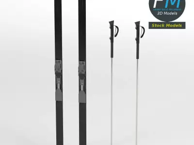Nordic skis with poles 3D model