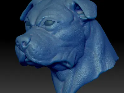 American Bulldog Head Portrait STL-3D Printing File High Polygon 3D print model