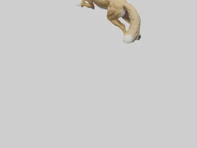 Coyote running model 3D model