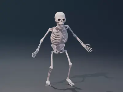Skeleton low-poly stylized Low-poly 3D model
