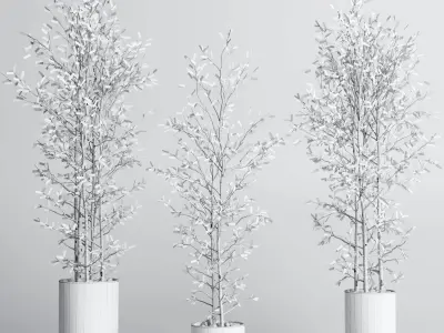 indoor plant set 379 plant tree branch bush concrete dirt vase Low-poly 3D model