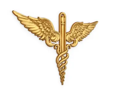 Relief Caduceus carved 01 3D model
