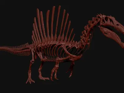 Dinosaur Spinosaurus Full Skeleton Sculpt Model 3D model