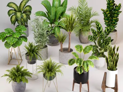 Indoor plants set 04 - collection 02 3D model
