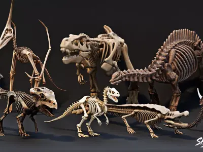 Dinosaur Fossil Pack VOL1 Low-poly 3D model