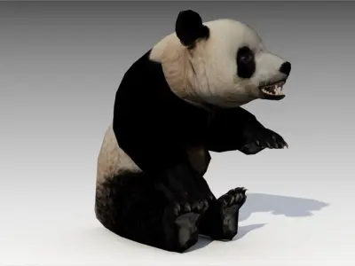 Giant Panda Animated Low-poly 3D model