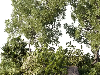 Garden plants in boxes - indoor Plants 530 3D model